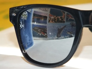 Slnečné okuliare Wayfarer Silver